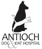 Antioch Dog And Cat Hospital logo