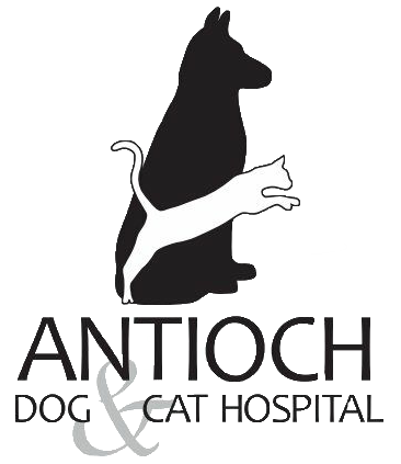 Antioch Dog and Cat Hospital