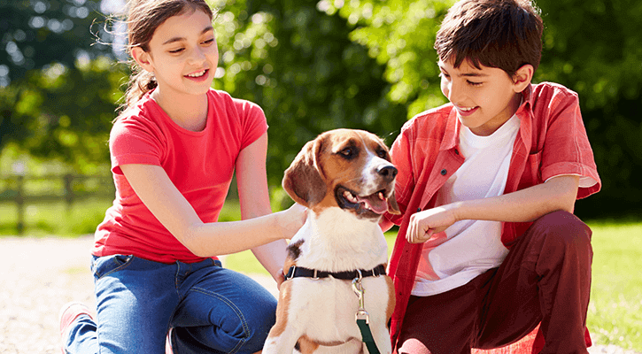 Microchipped Dog Playing With Kids